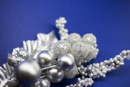 silver bush leaves on blue backgroundの写真素材