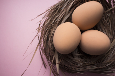 cute bird nest with eggs on pink background for easterの写真素材