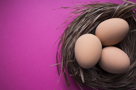 cute bird nest with eggs on dark pink background for easterの写真素材