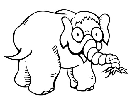Elephantのイラスト素材