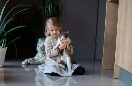 A little girl sits on the floor and holds a cat in her handsの写真素材