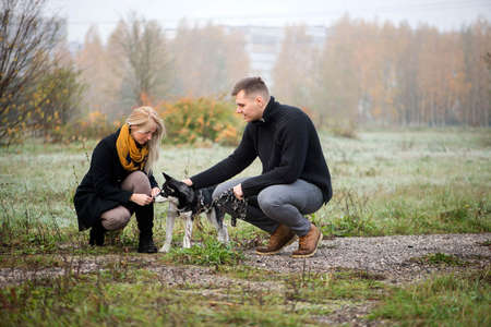 Young family couple with siberian husky dog walking in autumn parkの写真素材