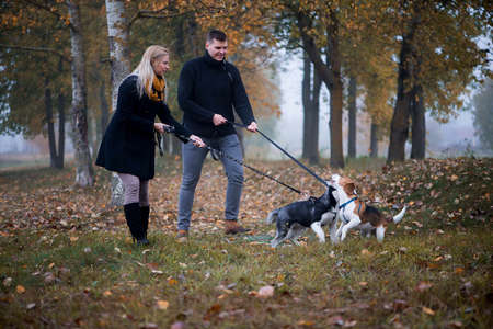 Young family couple with siberian husky dog walking in autumn parkの写真素材