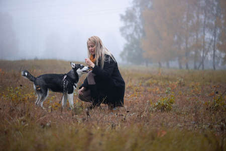 Young woman with beautiful siberian husky dog playing in city park during autumnの写真素材