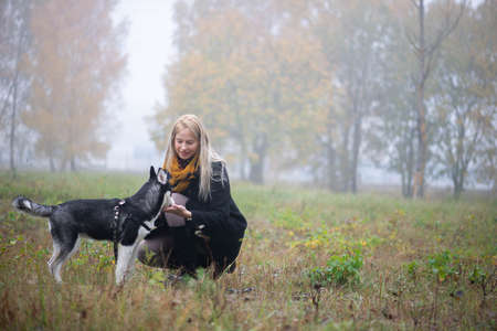 Young woman with beautiful siberian husky dog playing in city park during autumnの写真素材