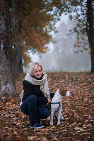 Young woman with happy beagle dog walking and playing in autumn leavesの写真素材