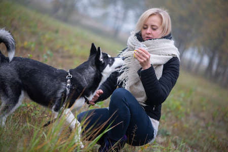 Young woman with beautiful siberian husky dog playing in city park during autumnの写真素材