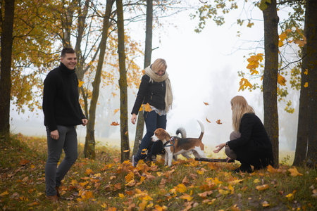 pet owners with siberian husky and beagle dogs have a nice time in the city park on an autumn morningの写真素材