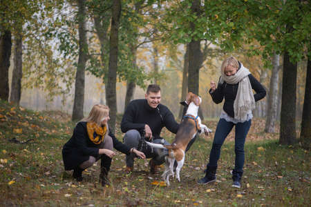 pet owners with siberian husky and beagle dogs have a nice time in the city park on an autumn morningの写真素材