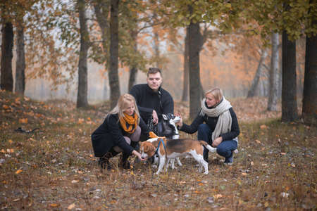pet owners with siberian husky and beagle dogs have a nice time in the city park on an autumn morningの写真素材