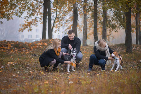 pet owners with siberian husky and beagle dogs have a nice time in the city park on an autumn morningの写真素材
