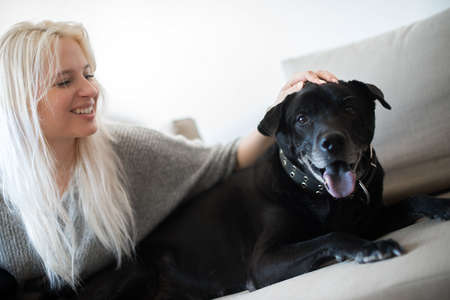 Young blonde woman and cute black dog on couch at homeの写真素材