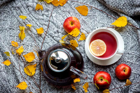 Cozy and soft autumn background. Cup of tea and warm knitted sweater.の写真素材