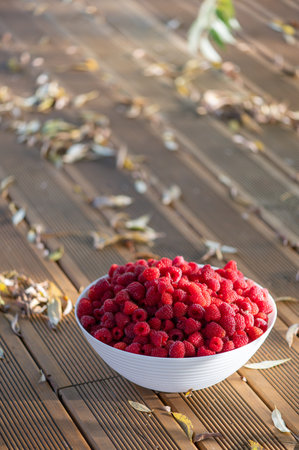 Fresh raspberries in a white bowl on the background of a green grass and autumn leavesの写真素材