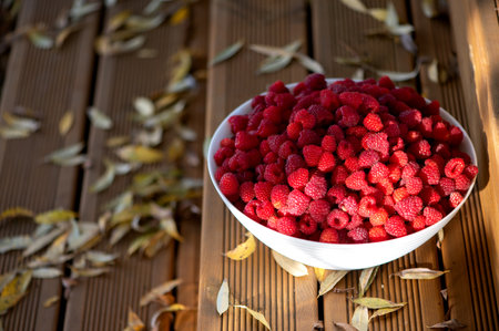 Fresh raspberries in a white bowl on the background of a green grass and autumn leavesの写真素材