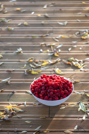 Fresh raspberries in a white bowl on the background of a green grass and autumn leavesの写真素材