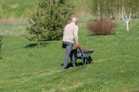 rear view of active senior man farmer pushing wheelbarrow in the fieldの写真素材