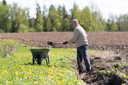 Middle aged man working with garden tools, shovel and wheelbarrow on the site of a country house.の写真素材