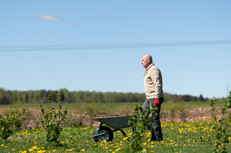 Middle -aged male farmer pushing wheelbarrow in the fieldの写真素材