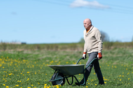 Middle -aged male farmer pushing wheelbarrow in the fieldの写真素材