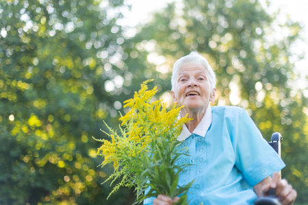 old senior woman sitting in a wheelchair and holding a bouquet of yellow wildflowersの写真素材