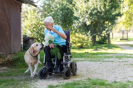 An old woman in a wheelchair talking with a big dogの写真素材
