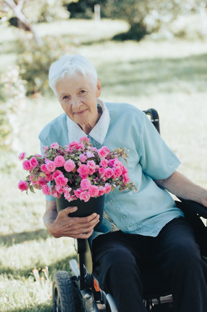 Portrait of smiling senior woman sitting in wheelchair and holding a purple flower pot outdoors