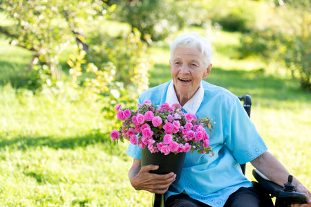 happy old senior woman sitting in a wheelchair and holding a purple flower pot in green gardenの写真素材