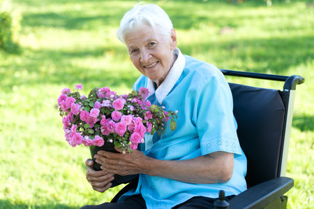 happy old senior woman sitting in a wheelchair and holding a purple flower pot in green gardenの写真素材
