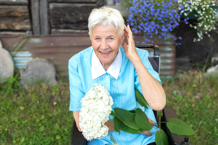 Smiling senior woman in a wheelchair with a white hydrangea flowerの写真素材