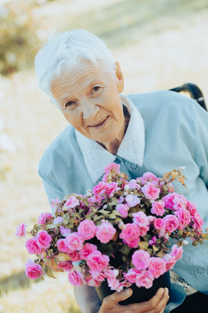 Rear view on disabled old woman in a wheelchair on the highwayの写真素材