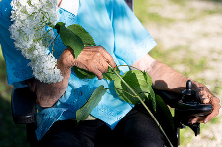 Close-up of a disabled old woman's hand holding a white hydrangea flowerの写真素材