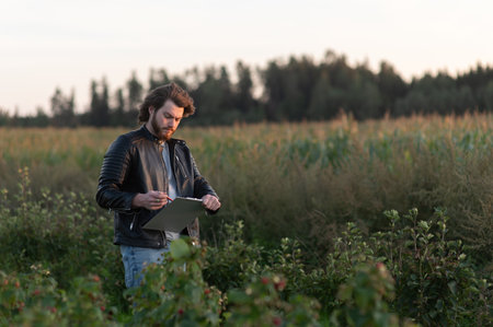 Young worried farmer writes notes while standing against the background of a blurred corn fieldの写真素材
