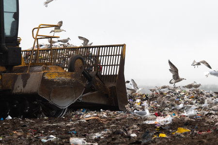Machinery working on waste in landfill, refuse collection with bulldozer, a lots of birdsの写真素材