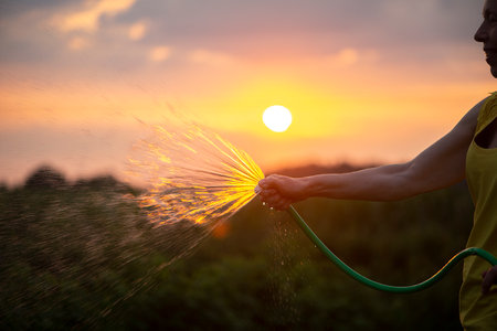 Gardener female holding hand hose sprayer and watering plants in garden sunset lightの写真素材