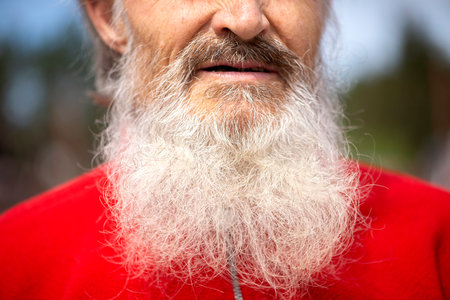 Close-up of an old man's mouth, mustache and long gray beardの写真素材
