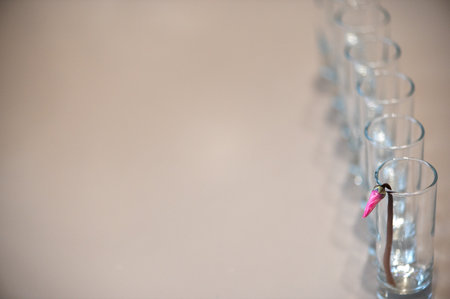 Purple flower bud in a glass on a gray background, the concept of clean minimalism and depth of...