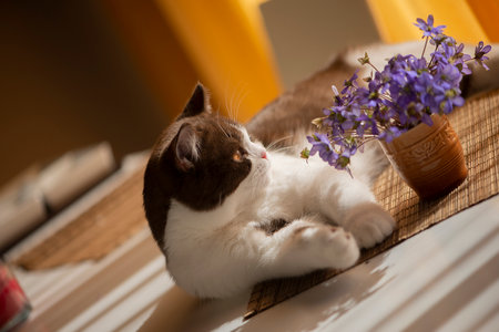 Beautiful cat and blue spring flower vase on the table at homeの写真素材
