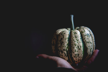 Woman  Holding Pumpkin in His Hand in Octoberの写真素材
