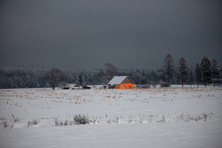 A bright orange house on a snowy field under a dark blue sky of blizzard clouds, Latviaの写真素材