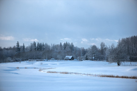 Winter landscape with snowy roofs of houses and forest in the distanceの写真素材