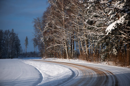 Winter landscape with winding country road through snow-covered forestsの写真素材