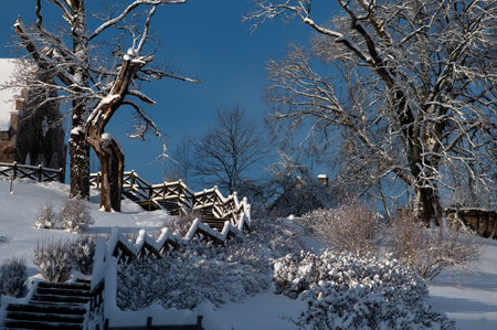 Snow-covered trees and wooden stairs, blue sky, winter contrastsの写真素材