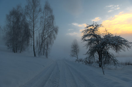 Blue winter landscape with fog and birches on a bend in the roadの写真素材