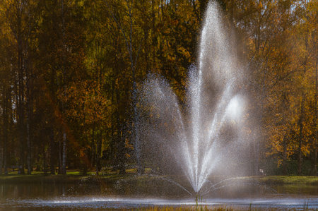 Water splashes from a fountain over a pond in a city park illuminated by the sunの写真素材