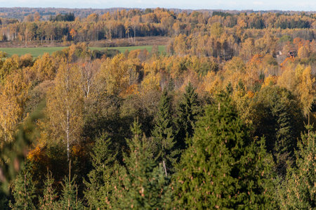 View of the beauty autumn landscape of Latvia from the top of BreÅ¾Ä£is Hill, sunny dayの写真素材