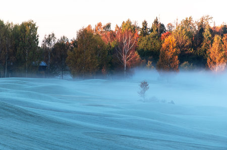 Autumn morning landscape with fog over frosty fields in Sigulda, Latviaの写真素材