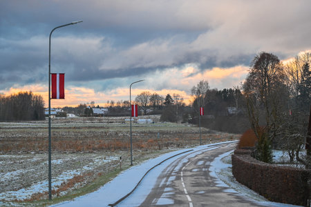 A quiet rural road lined with winter fields and soft sunrise clouds, capturing the calm beauty of a frosty morning landscape.の写真素材