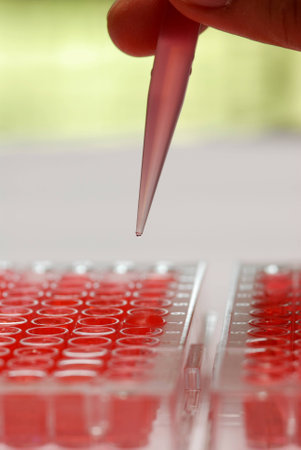 Droplet in a test tube.の写真素材