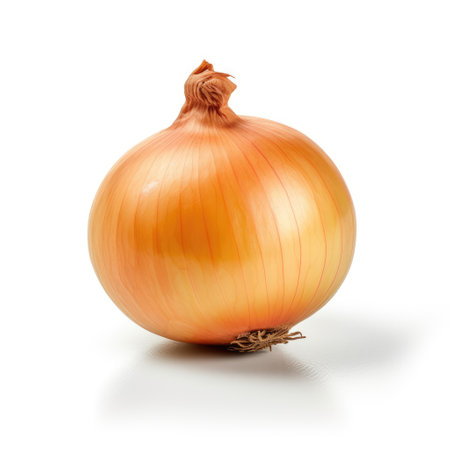 onion isolated on white backgroundの素材